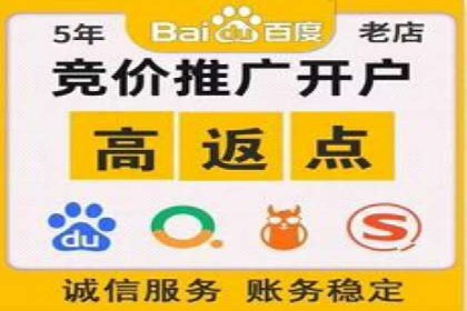 百度竞价推广的ROI优化策略：一则案例分析